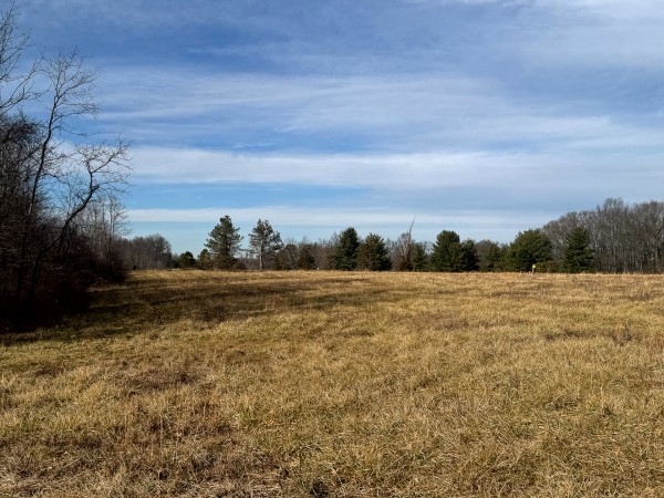 Tract 6 at Skyline Acres property photo