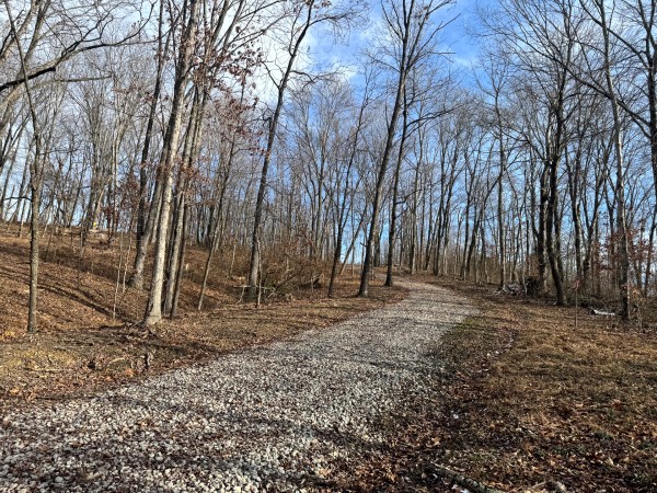 More of Tract 6 at Skyline Acres