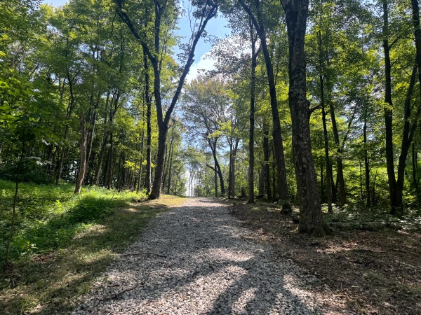 More of Tract 6 at Skyline Acres