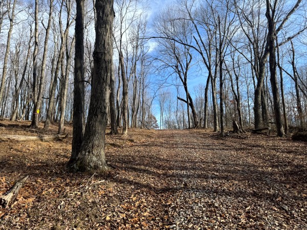 More of Tract 6 at Skyline Acres