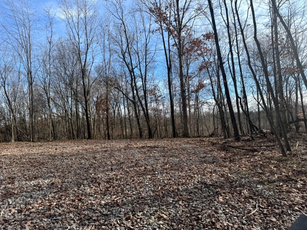 Tract 6 at Skyline Acres property photo