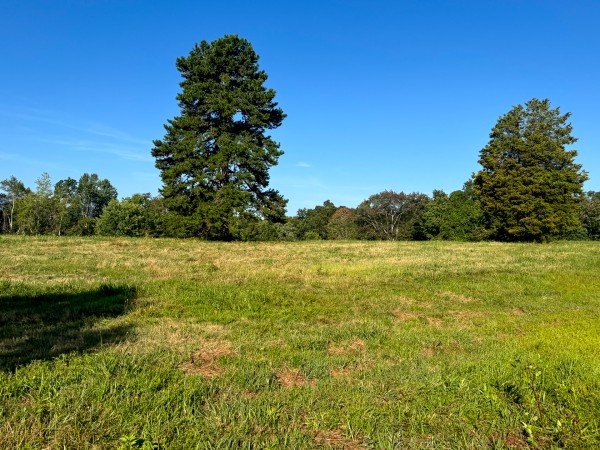 Tract 3 at Skyline Acres property photo