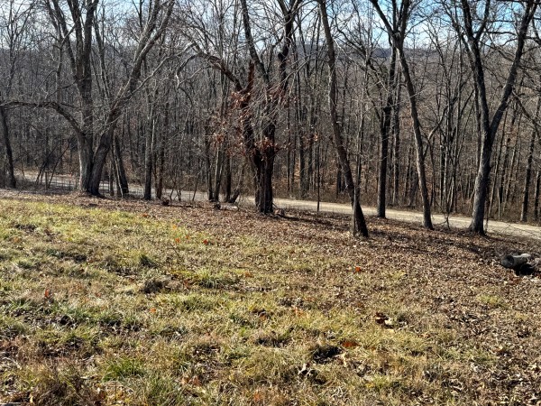 Tract 3 at Skyline Acres property photo