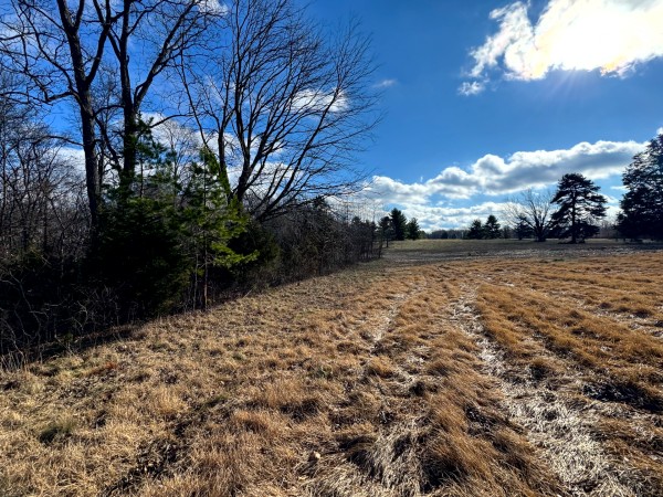Tract 3 at Skyline Acres property photo