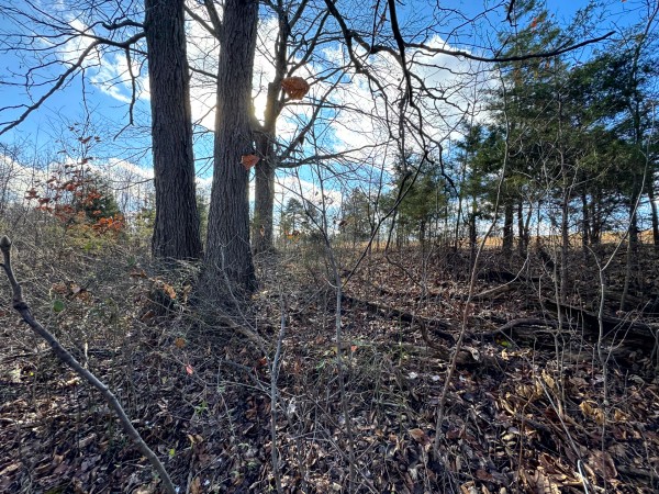 Tract 3 at Skyline Acres property photo