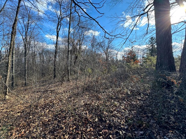 Tract 3 at Skyline Acres property photo