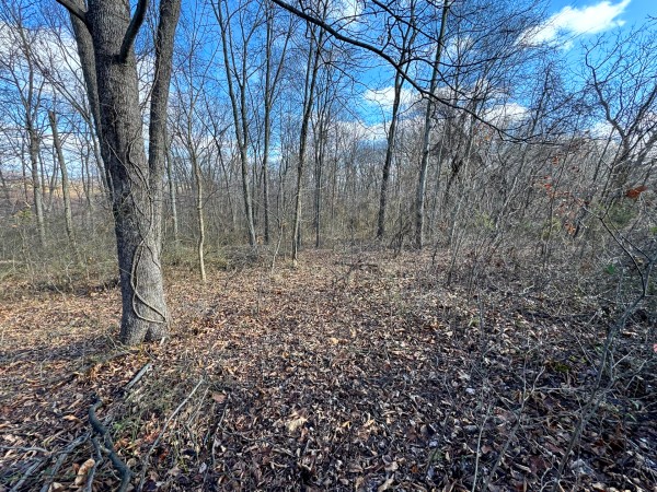 Tract 3 at Skyline Acres property photo