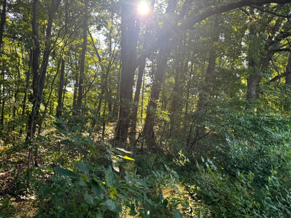 Tract 3 at Skyline Acres property photo