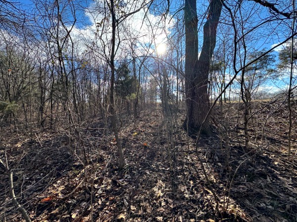 Tract 3 at Skyline Acres property photo