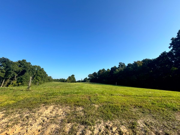 More of Tract 3 at Skyline Acres