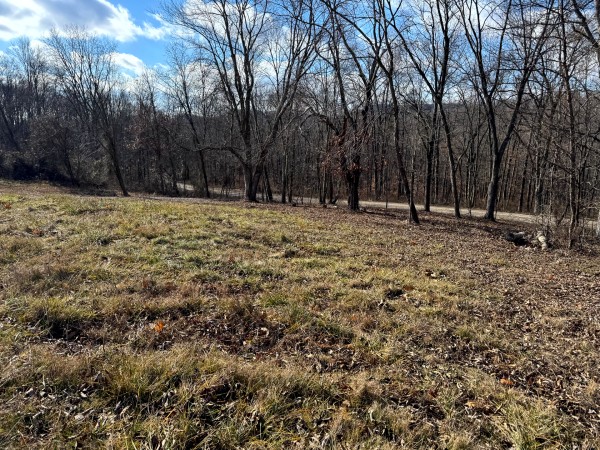 More of Tract 3 at Skyline Acres