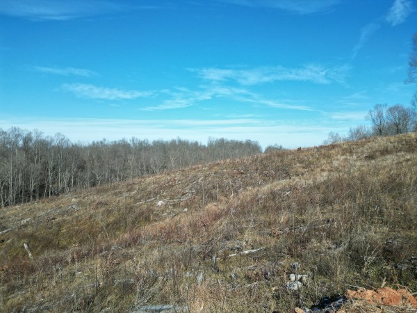 7 Ac Hampton Hollow property photo