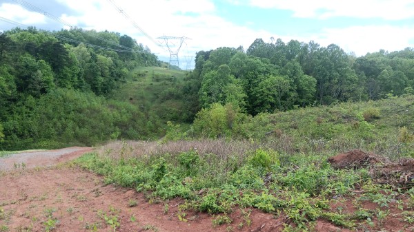 7 Ac Hampton Hollow property photo