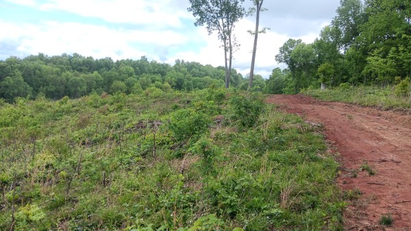 7 Ac Hampton Hollow property photo
