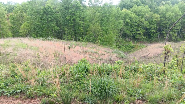 7 Ac Hampton Hollow property photo
