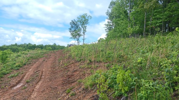 7 Ac Hampton Hollow property photo