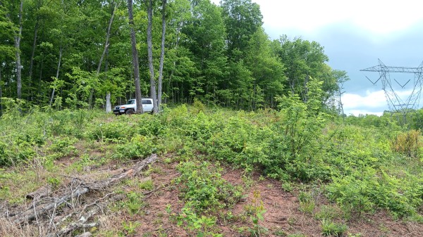 7 Ac Hampton Hollow property photo