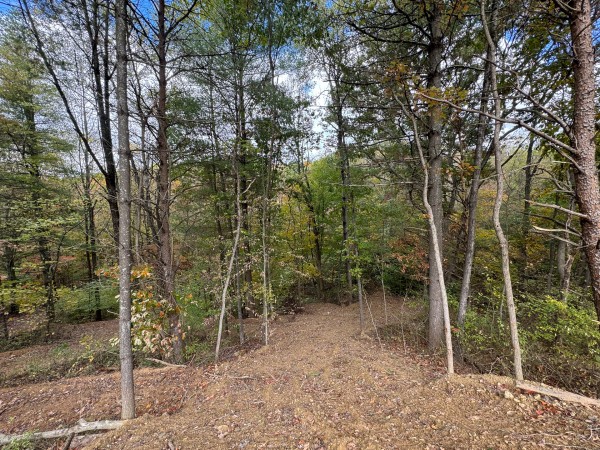 Tract 5 at Shawnee Woods property photo