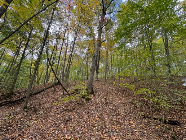 Tract 5 at Shawnee Woods property photo