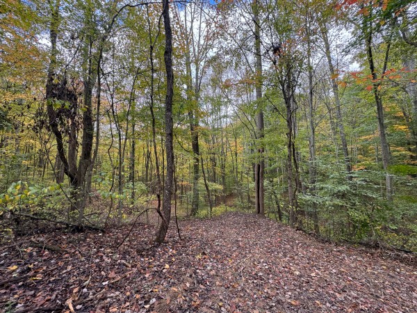 Tract 5 at Shawnee Woods property photo