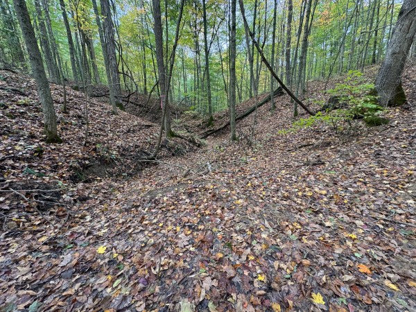 Tract 5 at Shawnee Woods property photo