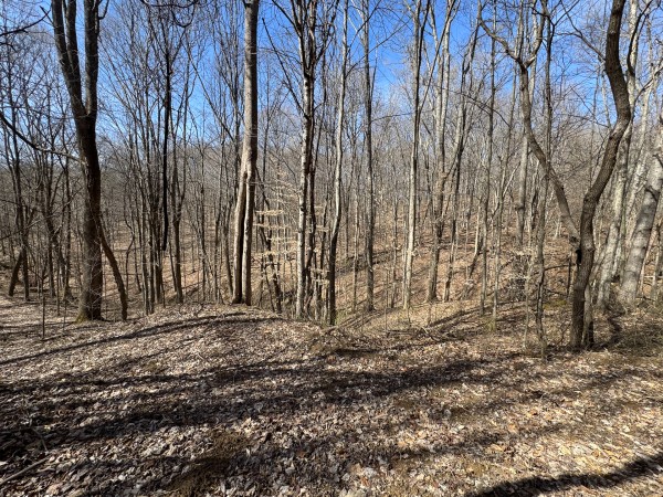 Tract 5 at Shawnee Woods property photo