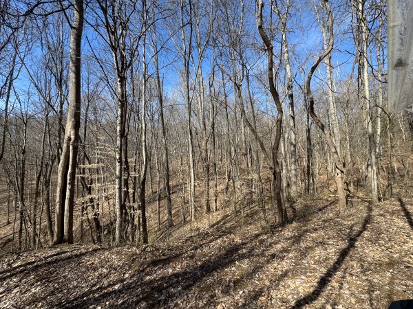 Tract 5 at Shawnee Woods property photo