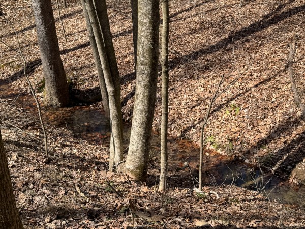 Tract 5 at Shawnee Woods property photo