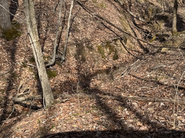 Tract 5 at Shawnee Woods property photo