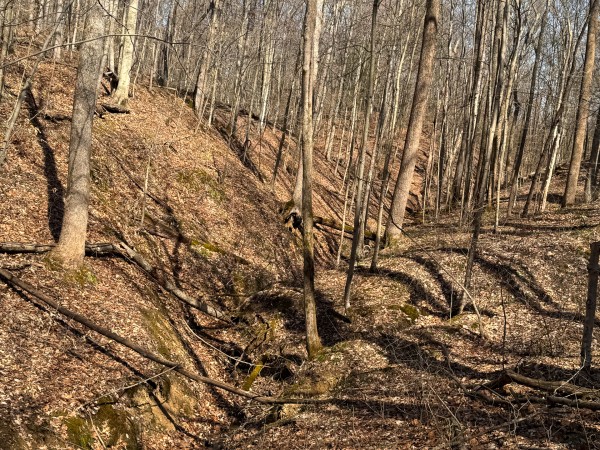 Tract 5 at Shawnee Woods property photo