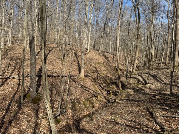 Tract 5 at Shawnee Woods property photo