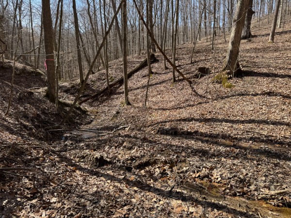 Tract 5 at Shawnee Woods property photo