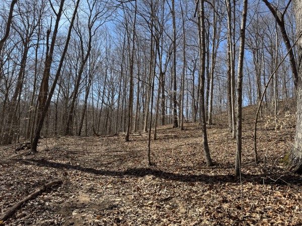 Tract 5 at Shawnee Woods property photo