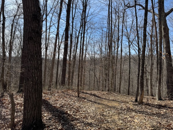 Tract 5 at Shawnee Woods property photo