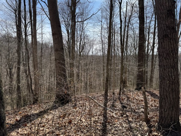 Tract 5 at Shawnee Woods property photo