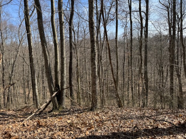 Tract 5 at Shawnee Woods property photo