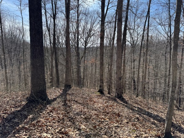 Tract 5 at Shawnee Woods property photo