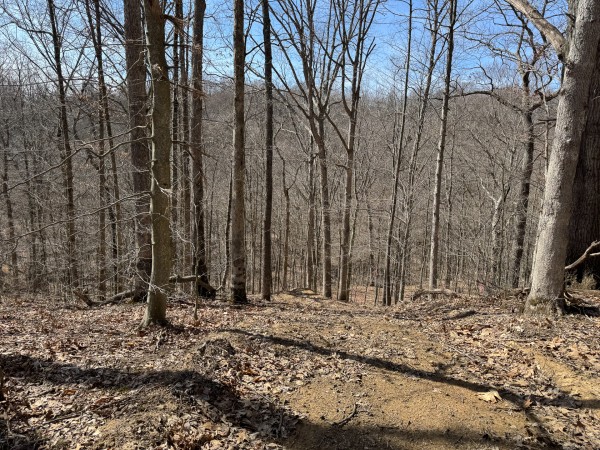 Tract 5 at Shawnee Woods property photo