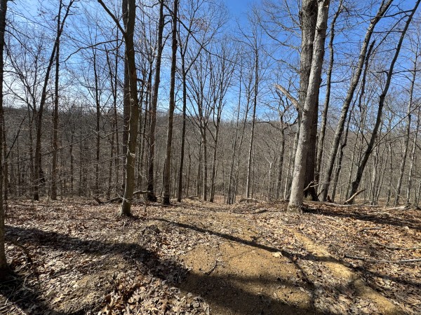 Tract 5 at Shawnee Woods property photo