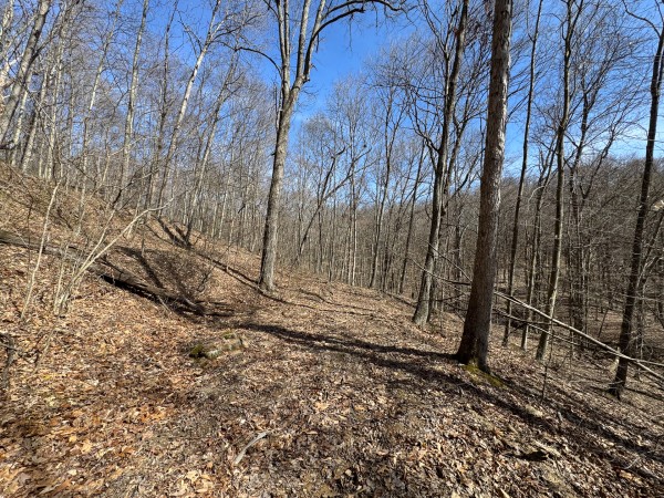 Tract 5 at Shawnee Woods property photo