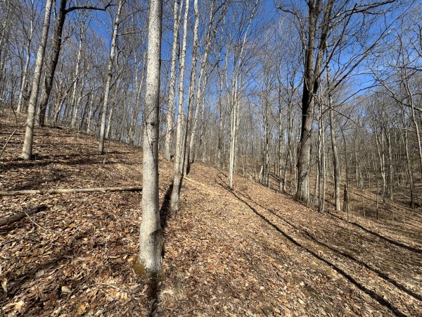 Tract 5 at Shawnee Woods property photo