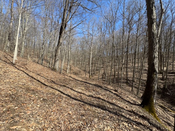 Tract 5 at Shawnee Woods property photo