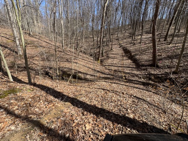 Tract 5 at Shawnee Woods property photo