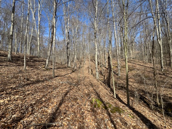 Tract 5 at Shawnee Woods property photo