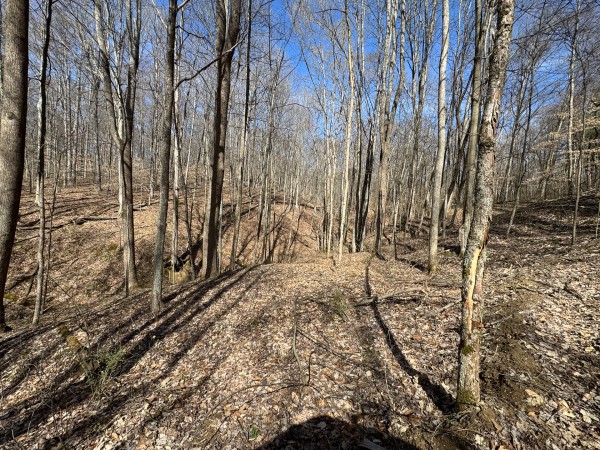 Tract 5 at Shawnee Woods property photo