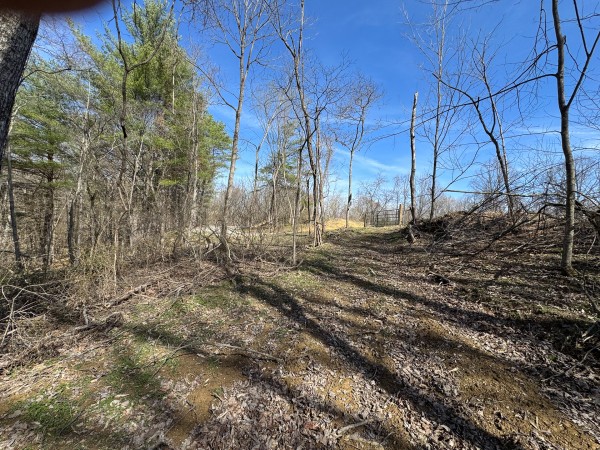 Tract 5 at Shawnee Woods property photo