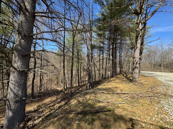 Tract 5 at Shawnee Woods property photo