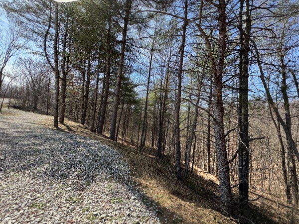 Tract 5 at Shawnee Woods property photo