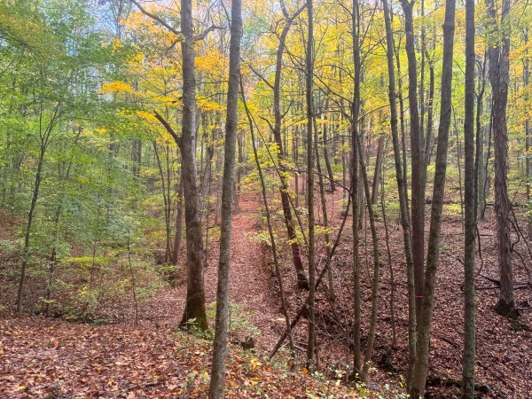 More of Tract 5 at Shawnee Woods