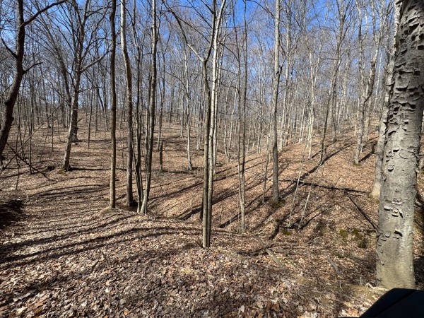 More of Tract 5 at Shawnee Woods